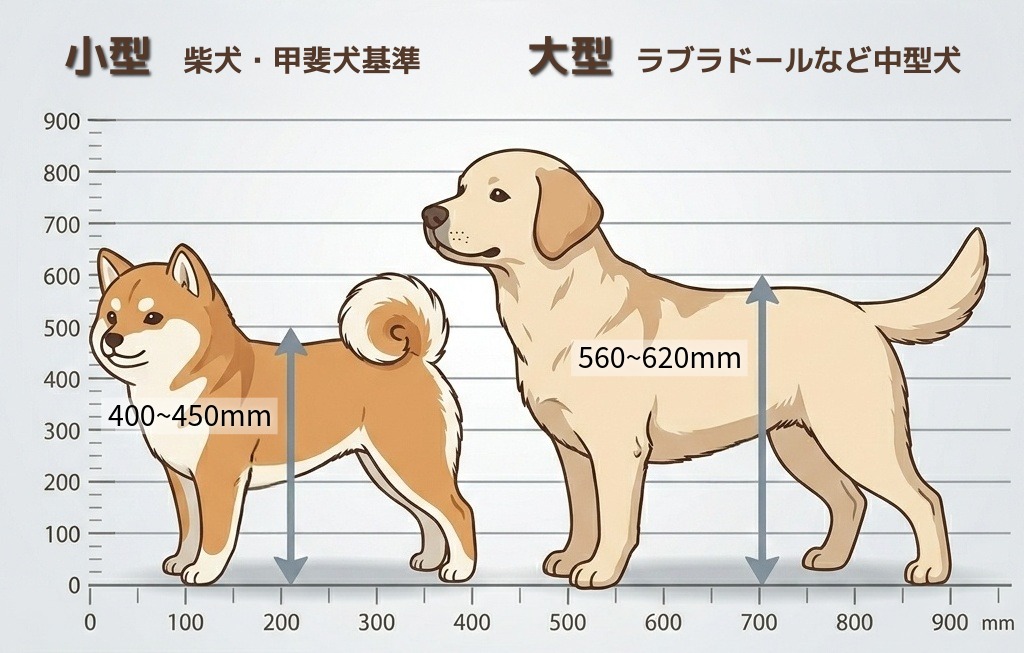 小型・中型サイズ比較図
